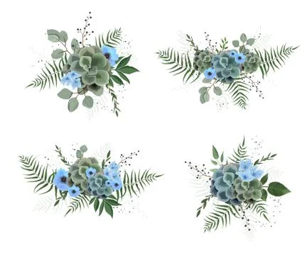 Vector designer elements set collection of green eucalyptus, art foliage natu Stockillustratie