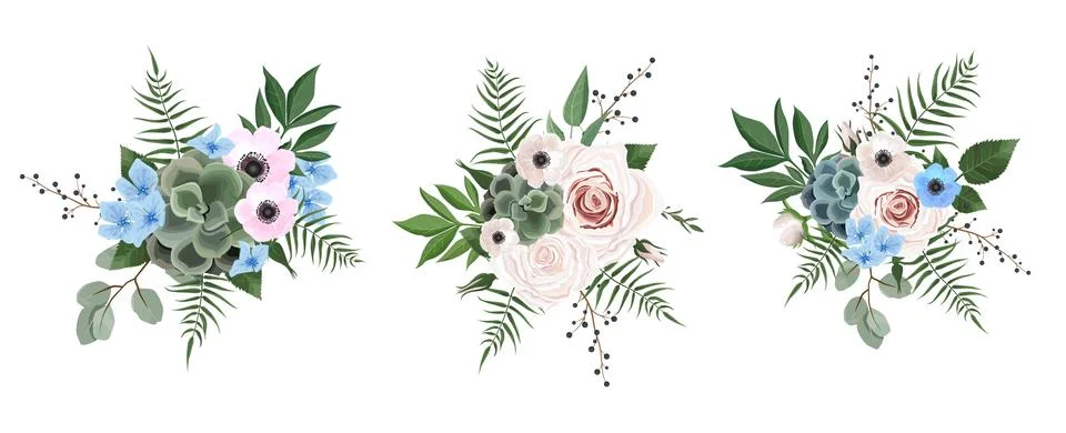 Vector designer elements set collection of green eucalyptus, art foliage natu 스톡 일러스트