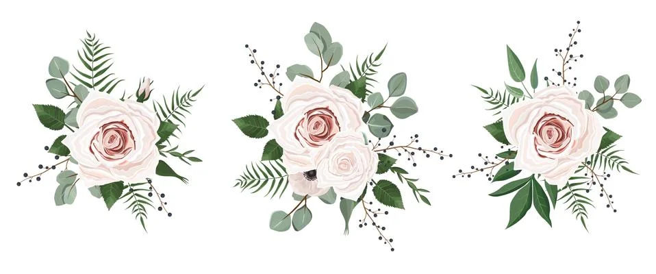 Vector designer elements set collection of green eucalyptus, art foliage natu 스톡 일러스트