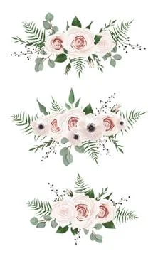 Vector designer elements set collection of green eucalyptus, art foliage natu 库存插图