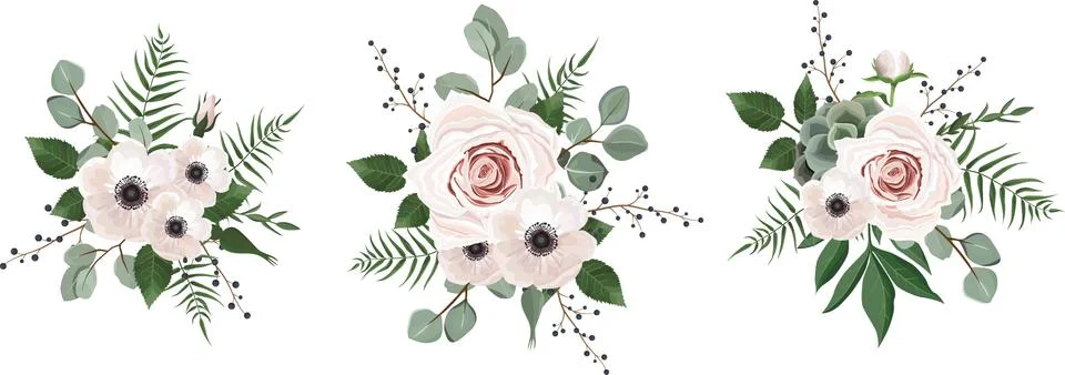 Vector designer elements set collection of green eucalyptus, art foliage natu Stock Illustration