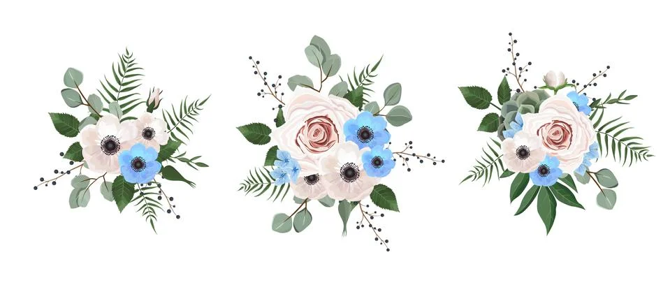 Vector designer elements set collection of green eucalyptus, art foliage natu 스톡 일러스트