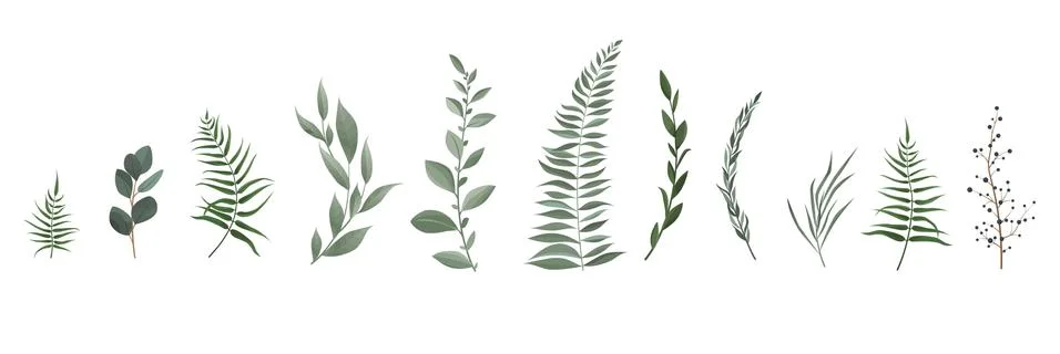 Vector designer elements set collection of greeng leaves herbs in watercolor Stock Illustration