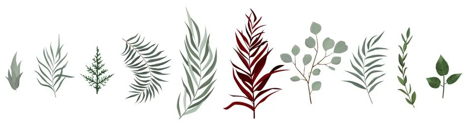 Vector designer elements set collection of greeng leaves herbs in watercolor Illustrazione stock