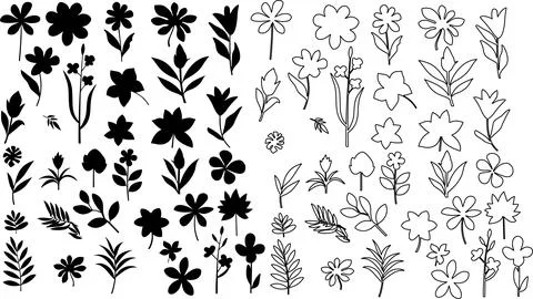 Vector designer elements set collection of forest fern, tropical eucalyptus.. Stock Illustration