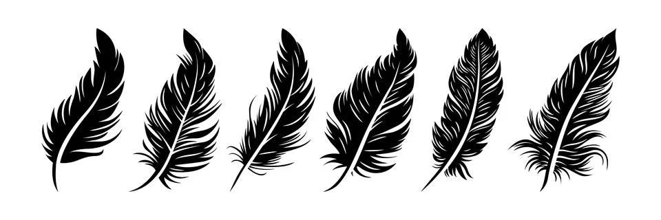 Vector Different Black Fluffy Feather Silhouette Icon Set Closeup Isolated on Stock Illustration