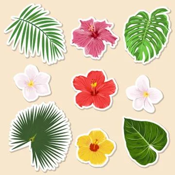 Vector different tropical plants - flowers and leaves - paper sticker and icon Illustrazione stock
