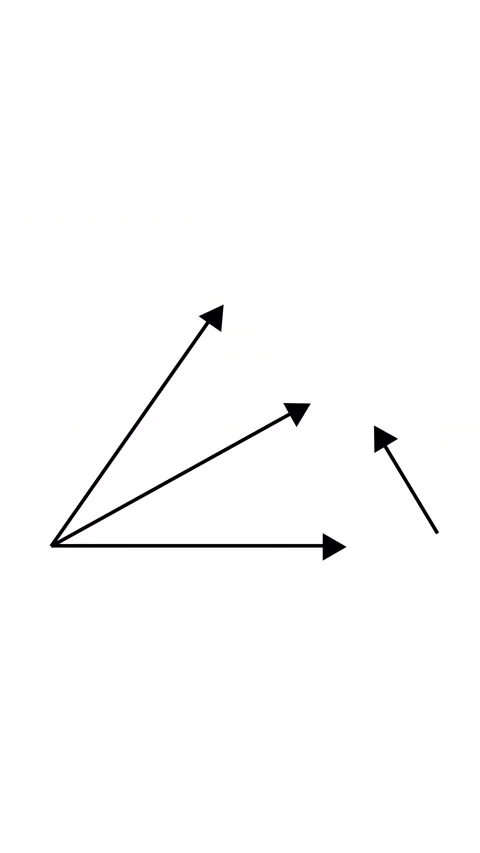 Vector Direction Arrow Diagram Animation Stock Footage 346565240