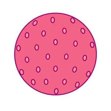 Vector disposable template round fruit Stock Illustration