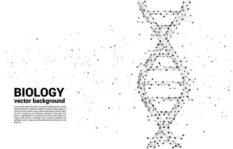 Vector DNA genetic structure from dot connect line polygon. background concep Stock Illustration