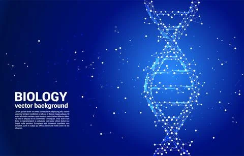 Vector DNA genetic structure from dot connect line polygon. background concep Stock Illustration
