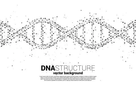 Vector DNA genetic structure from dot connect line polygon. background concep Stock Illustration