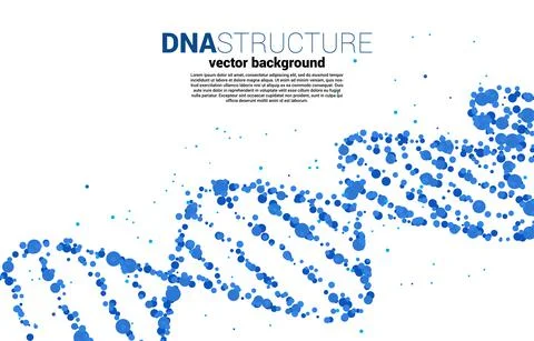Vector DNA genetic structure from dot random. background concept for biotechn Stock Illustration