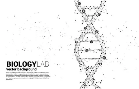 Vector DNA genetic structure from dot connect line polygon with icon. backgro Stock Illustration