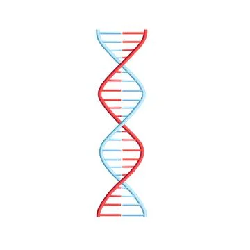 Vector DNA molecule helix spiral genetic code 스톡 일러스트