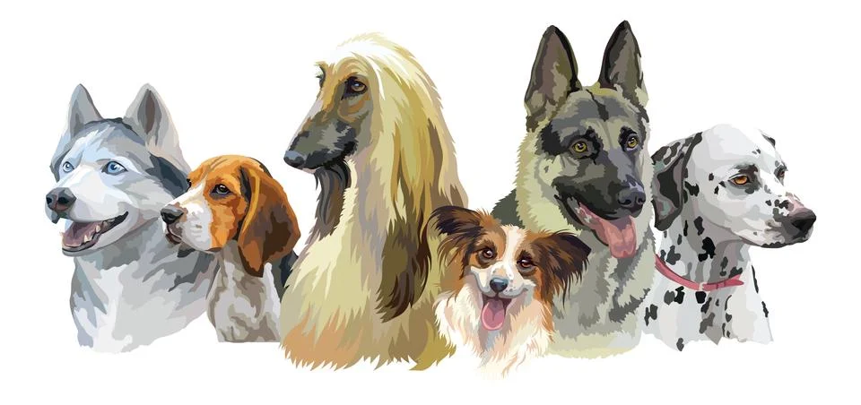 Vector dog breeds Stock Illustration
