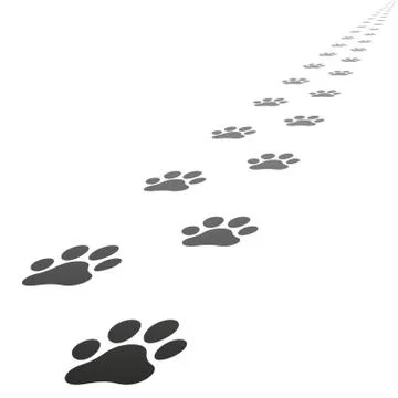 Vector dog paw prints Stock Illustration