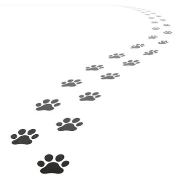Vector dog paw prints Illustrazione stock