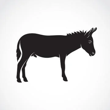 Vector of a donkey on white background. Wild Animals. Stock Illustration
