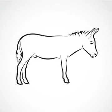 Vector of a donkey on white background. Wild Animals. Stock Illustration