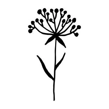 Vector doodle abstract flower silhouette, floral element Stock Illustration