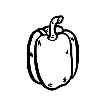 Vector Doodle Bell Pepper Illustration Stock Illustration