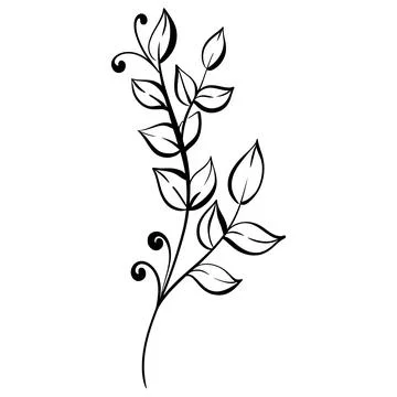 Vector doodle brunch with leaves. Hand drawn line for floral ornaments, frames Illustrazione stock