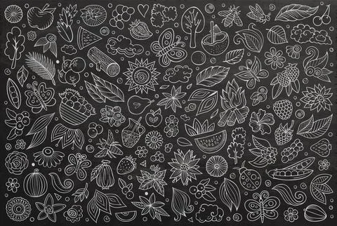 Vector doodle cartoon set of Summer nature theme objects and symbols Ilustración de archivo