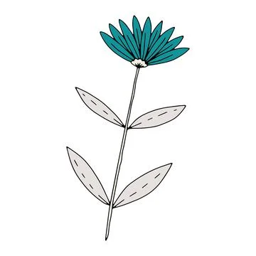 Vector doodle hand drawn flowers and herbal design elements. Line art leaves and Stock Illustration