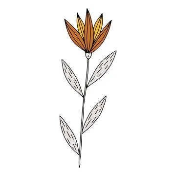 Vector doodle hand drawn flowers and herbal design elements. Line art leaves and Stock Illustration