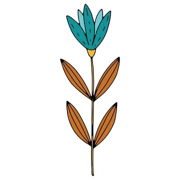 Vector doodle hand drawn flowers and herbal design elements. Line art leaves and Stock Illustration