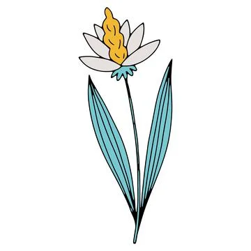 Vector doodle hand drawn flowers and herbal design elements. Line art leaves and Stock Illustration