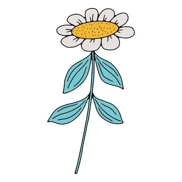 Vector doodle hand drawn flowers and herbal design elements. Line art leaves and Stock Illustration