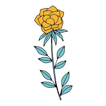 Vector doodle hand drawn flowers and herbal design elements. Line art leaves and Stock Illustration