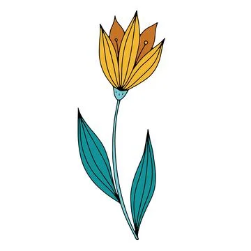 Vector doodle hand drawn flowers and herbal design elements. Line art leaves and Stock Illustration