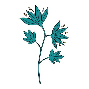 Vector doodle hand drawn flowers and herbal design elements. Line art leaves and Stock Illustration