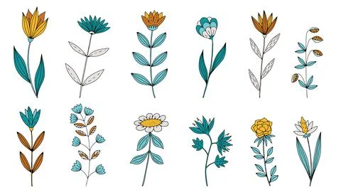 Vector doodle hand drawn flowers and herbal design elements. Line art leaves and Stock Illustration