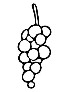 Vector doodle hand drawn grape bunch vine food fruit berry clip art ink fin.. Stock Illustration