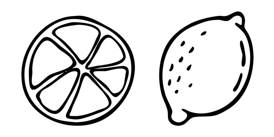 Vector doodle hand drawn lemon whole slice food fruit citrus set clip art i.. Illustrazione stock
