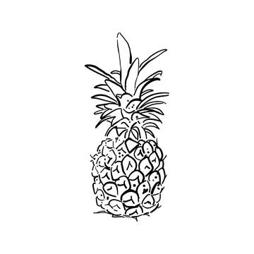 Vector doodle illustration of a pineapple. Hand drawn, sketch. Stock Illustration