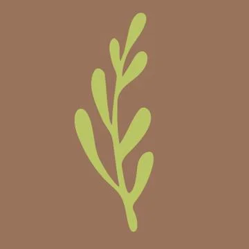Vector doodle illustration of potherbs Stock Illustration