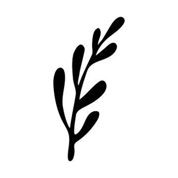 Vector doodle illustration of potherbs Stock Illustration