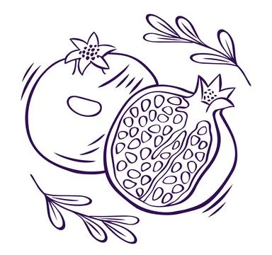 Vector doodle line art of whole and half pomegranates with seeds and leaves Stock Illustration