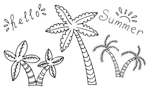 Vector doodle palm tree. Hand drawn palmtrees on white background Stock Illustration