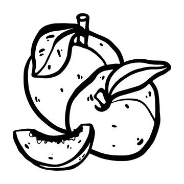Vector doodle peach illustration, hand drawn. Stock Illustration