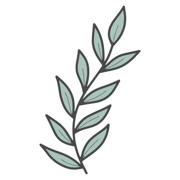 Vector doodle plant branch with leaves isolated Stock Illustration