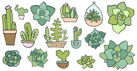 Vector Doodle set of cactus plants, Aloe Arizona succulent, exotic gardening Stock Illustration