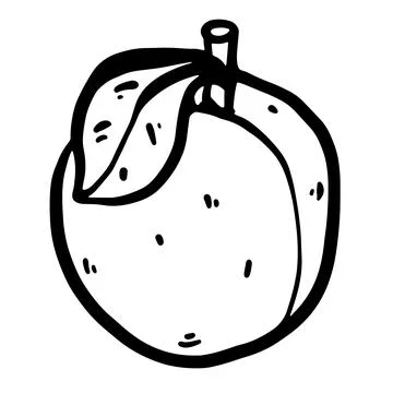 Vector doodle sketch of peach. Stock Illustration