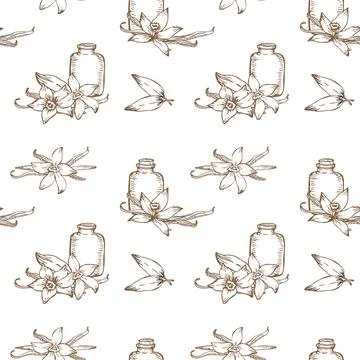 Vector doodles of vanilla beans, flowers, and leaves combined with herbs. Illustrazione stock