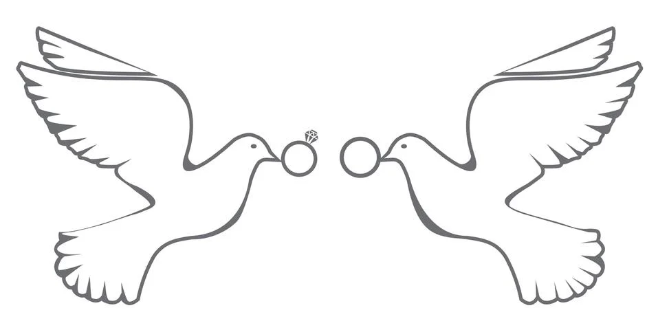 Vector Dove Wedding Stock Illustration